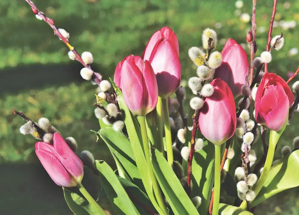Flores que acompa&ntilde;an en los momentos dif&iacute;ciles