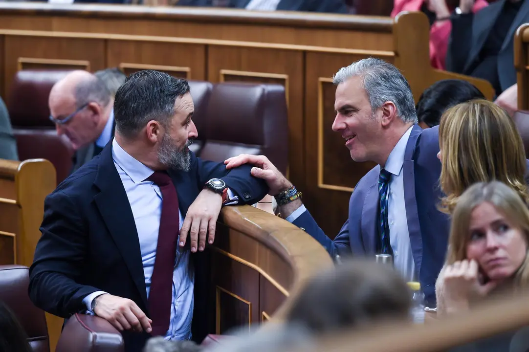 imagen de archivo del l&iacute;der de Vox, Santiago Abascal (i) y el portavoz del Grupo Municipal VOX, Javier Ortega Smith (d), conversan durante un pleno en el Congreso de los Diputados, a 29 de octubre de 2024 (foto: EP)