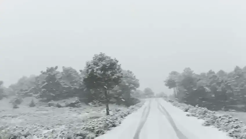 Cae nieve en Sierra Espu&ntilde;a este jueves 25 de diciembre, d&iacute;a de Navidad