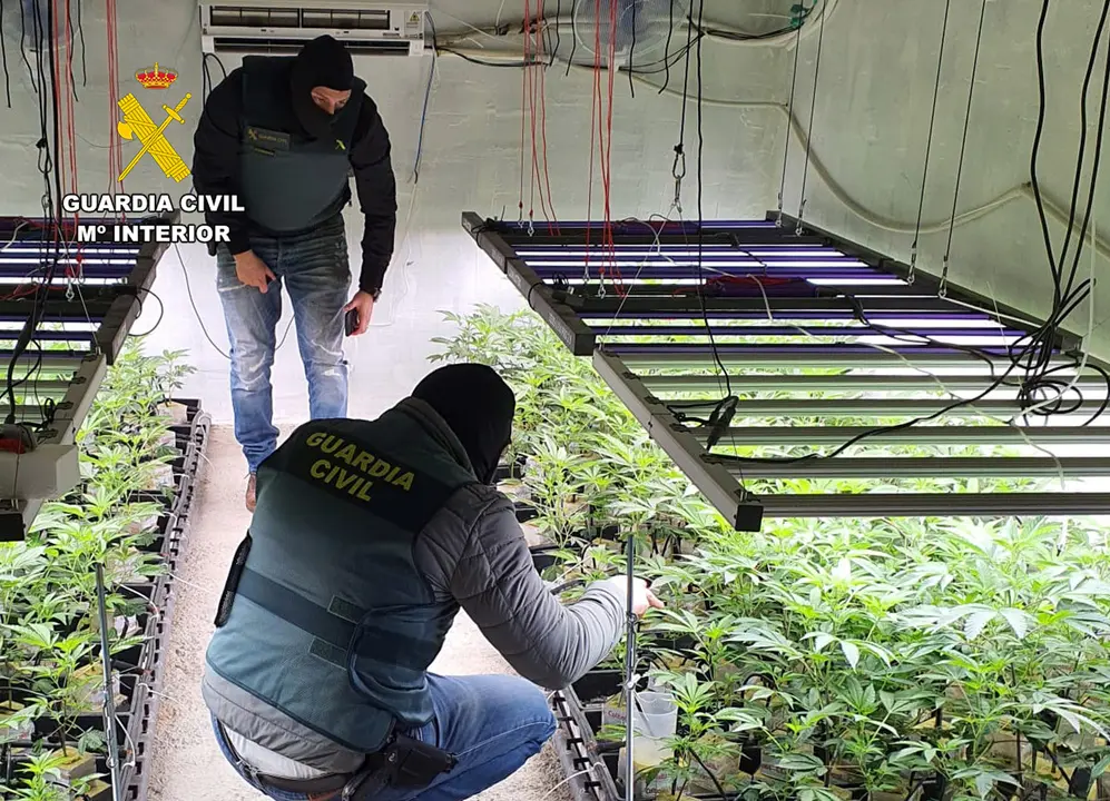 Invernadero subterr&aacute;neo de marihuana hallado en una vivienda de Sangonera la Seca | Foto: Guardia Civil