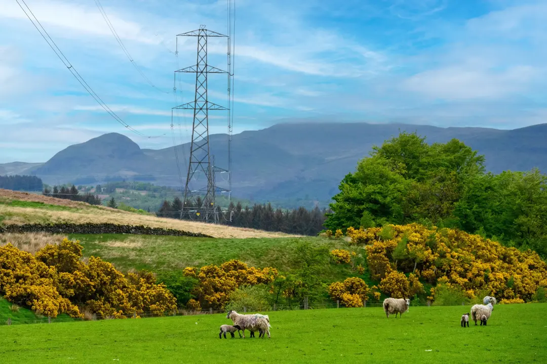 La electricidad distribuida por Iberdrola creció un 7,5% en 2025 por la mayor demanda y la electrificacion