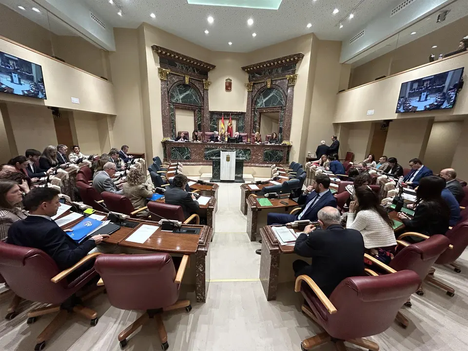 Pleno de la Asamblea Regional