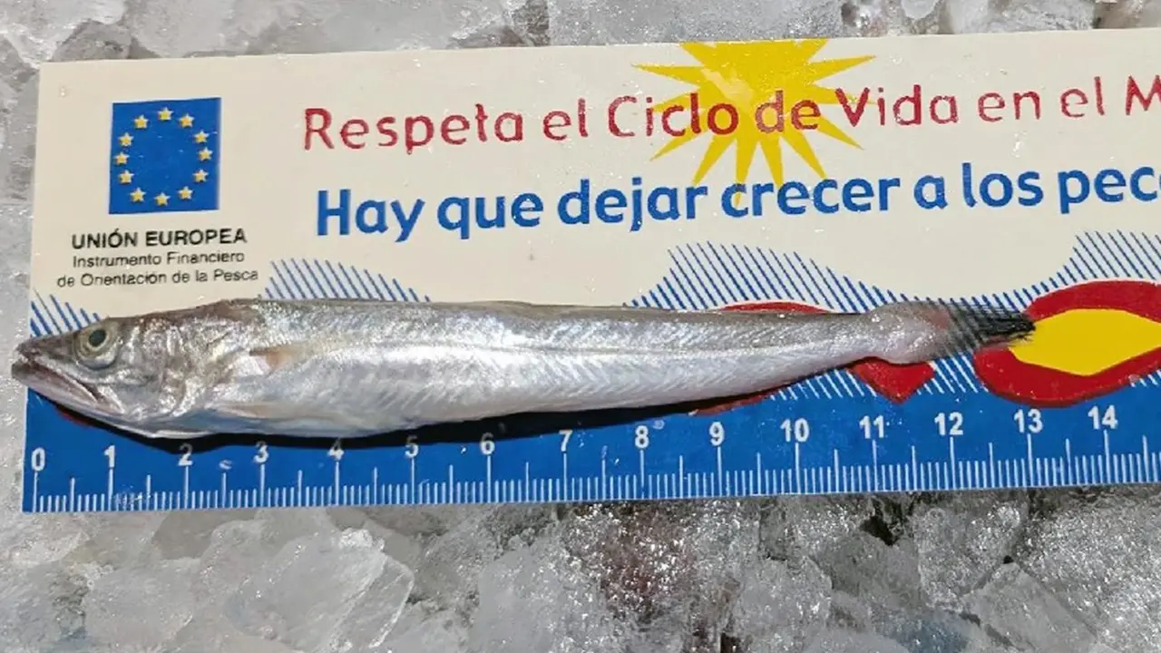Una de las piezas incautadas (foto: GC)