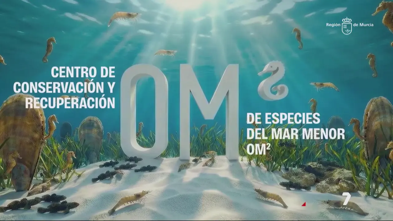 El Centro de Conservaci&oacute;n y Recuperaci&oacute;n de Especies del Mar Menor situar&aacute; a la Regi&oacute;n como &ldquo;referencia cient&iacute;fica&rdquo; (foto: CARM)