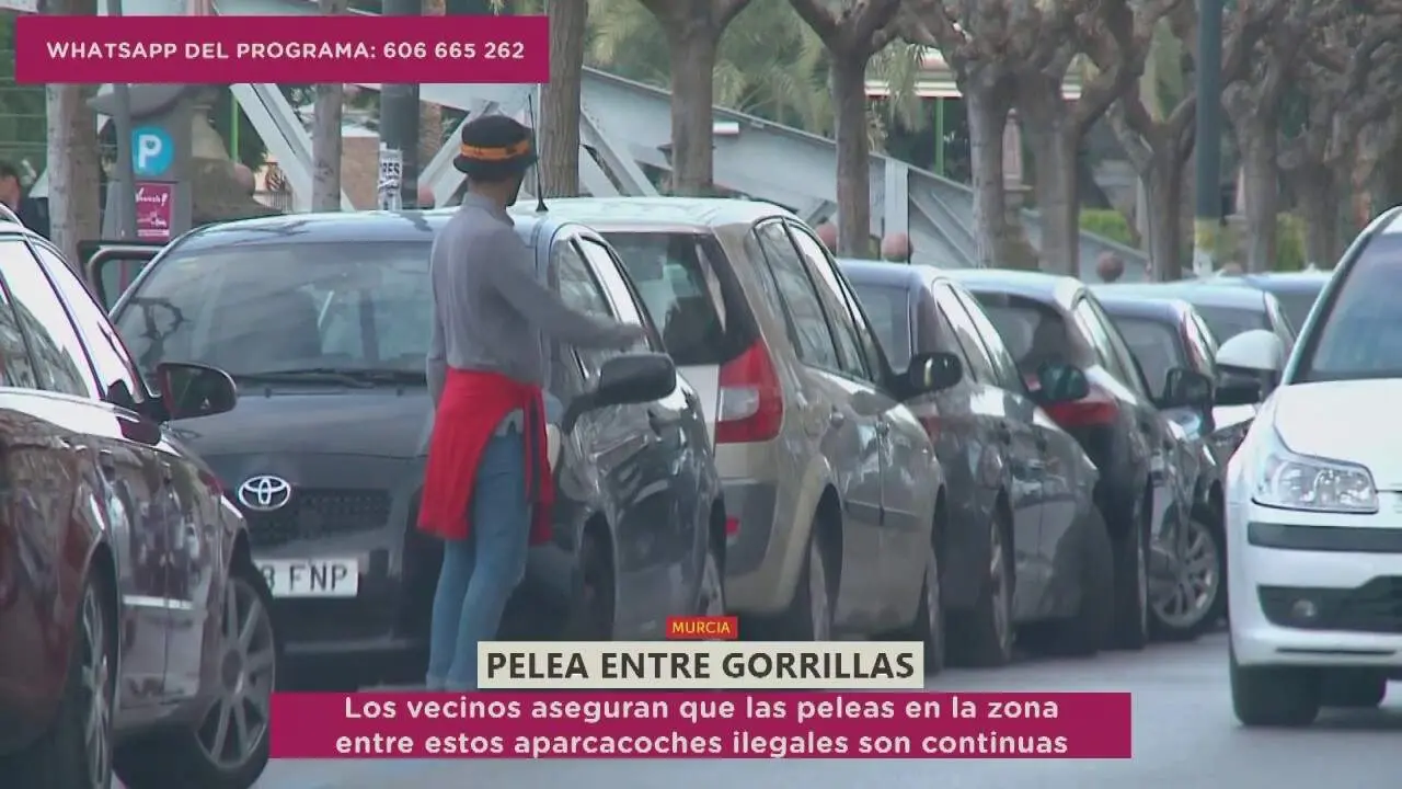 Gorrilla en el barrio murciano de El Carmen | Imagen: Murcia Conecta