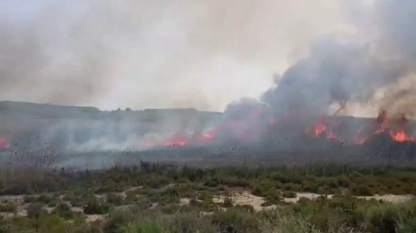 Un incendio de ca&ntilde;as y matorral calcina 8.000 metros cuadrados en Villanueva del R&iacute;o Segura (foto: Bomberos CEIS)