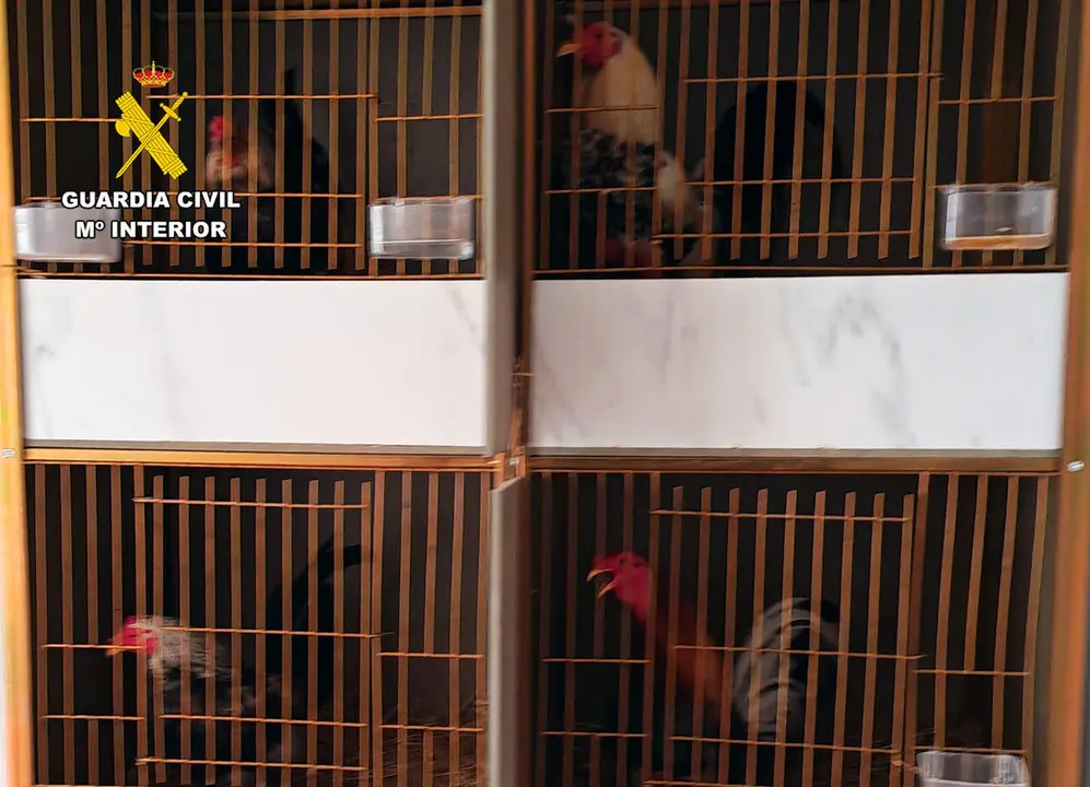 Animales encontrados