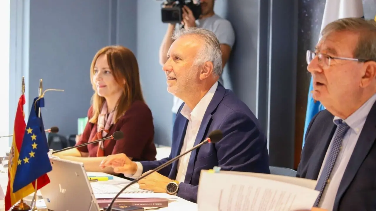 El ministro &Aacute;ngel V&iacute;ctor Torres durante el Consejo Territorial de la Memoria, celebrado en La Palma
