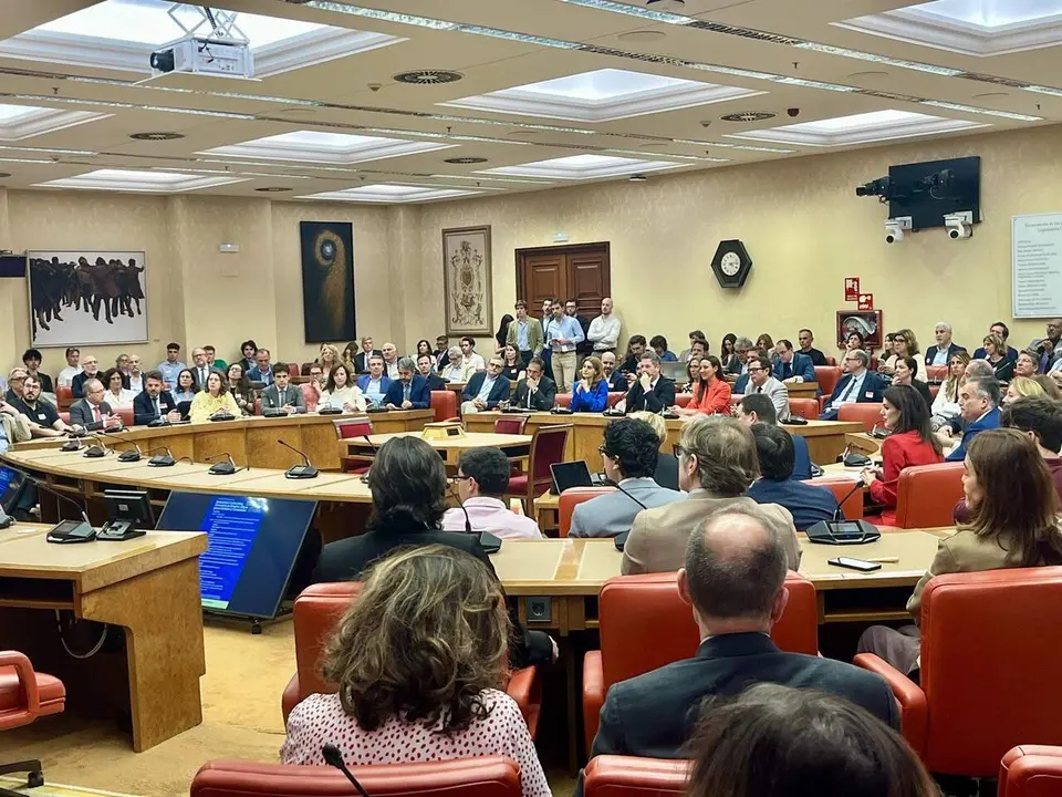 La consejera de Turismo, Cultura, Juventud y Deportes, Carmen Conesa, participa en la jornada parlamentaria &lsquo;Industrias culturales: Creaci&oacute;n de empleo digno para artistas y creadores&rsquo;, celebrada en el Congreso de los Diputados
- CARM