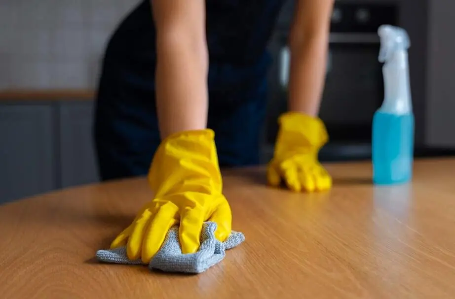 Por qu&eacute; Domestina se ha convertido en la plataforma l&iacute;der para el cuidado de tu casa