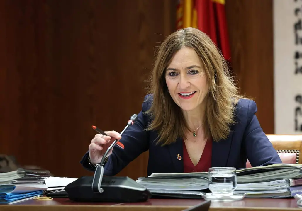 Archivo - La directora general de Protecci&oacute;n Civil y Emergencias, Virginia Barcones Sanz, comparece ante la Comisi&oacute;n de Investigaci&oacute;n sobre la dana, en el Senado, a 23 de febrero de 2026, en Madrid (Espa&ntilde;a).
- Marta Fern&aacute;ndez - Europa Press - Archivo