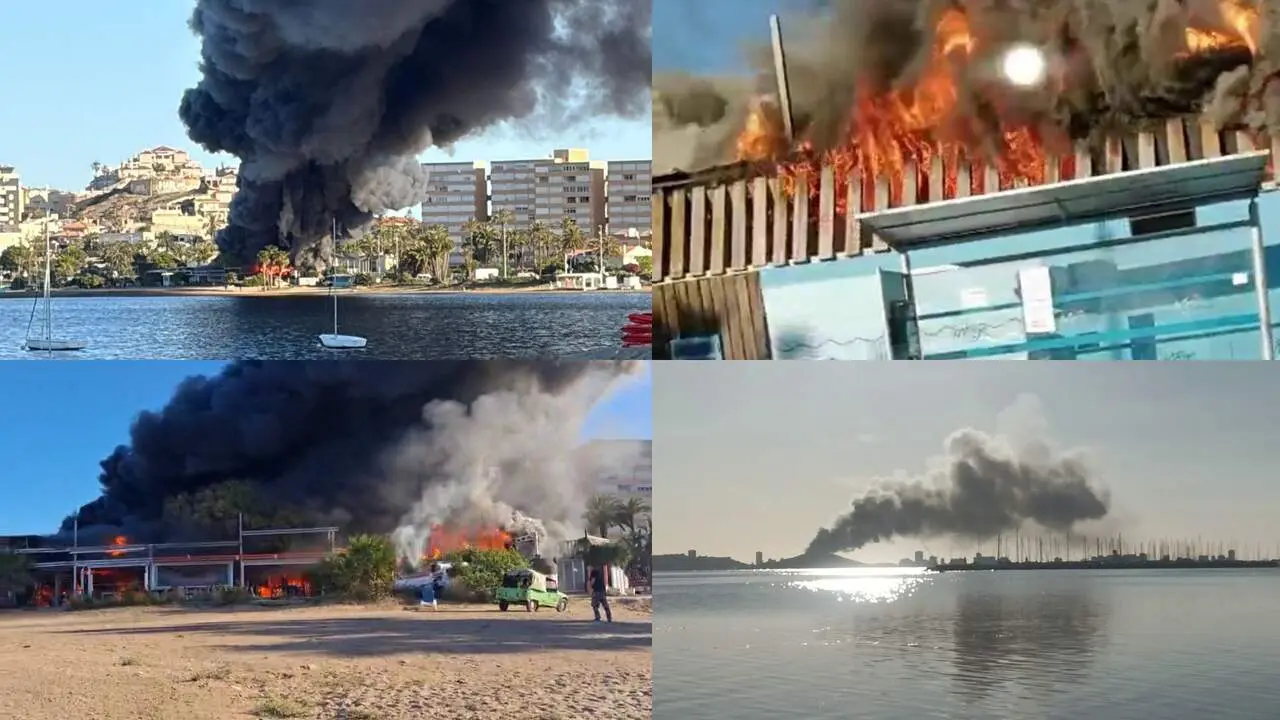 Un incendio en el ZM Isla del Ciervo genera una gran columna de humo visible a varios kil&oacute;metros (foto: La 7)