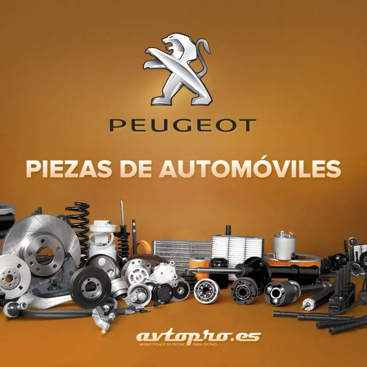 Partes para Peugeot 307: Motor, Distribuci&oacute;n, Embrague y Mantenimiento del Motor