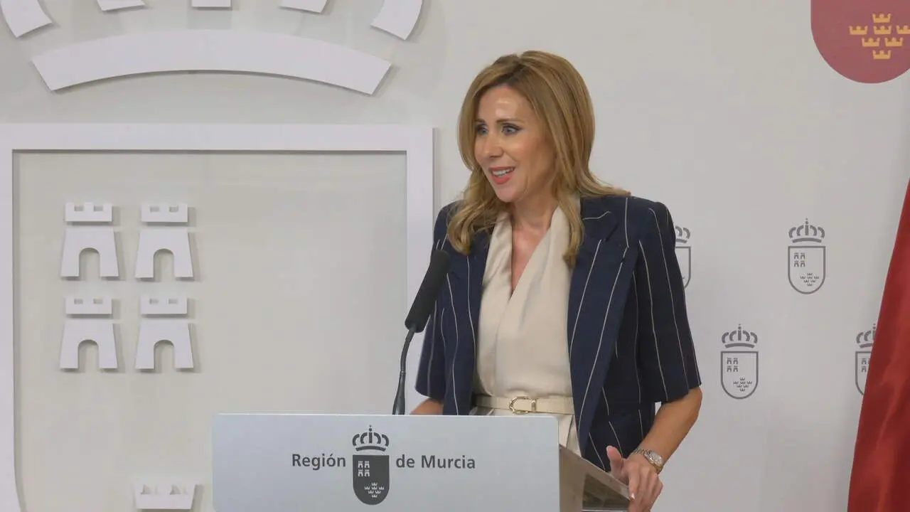 Marisa L&oacute;pez Arag&oacute;n, durante el Consejo de Gobierno (foto: La 7)