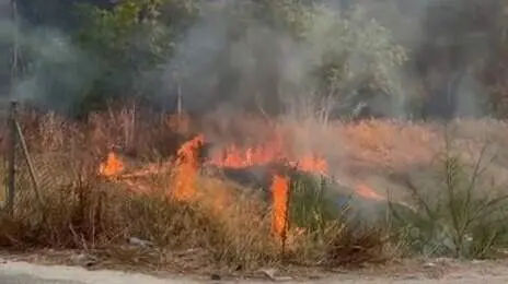 Incendio de matorral entre El Palmar y Sangonera la Verde (foto: La 7)