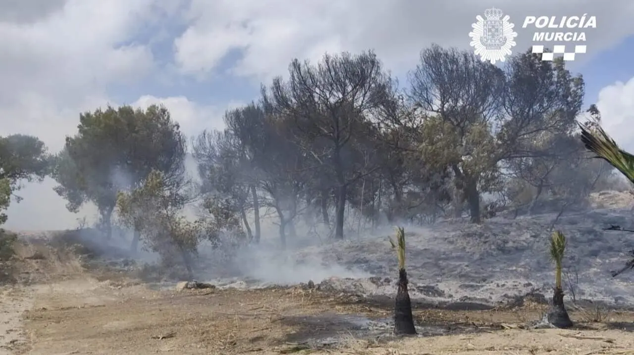 Estabilizado el incendio en la Sierra de Columbares de la pedan&iacute;a murciana de Gea y Truyols (foto: Polic&iacute;a Local de Murcia)