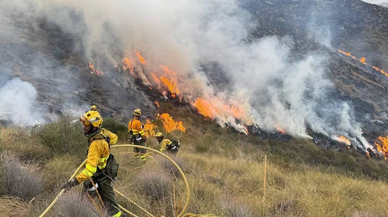 Bomberos trabajan en la zona