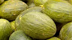El mel&oacute;n incrementa considerablemente su precio