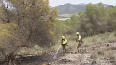 Bomberos trabajando en un incendio forestal