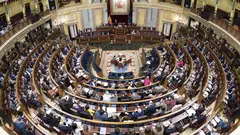 El Congreso
