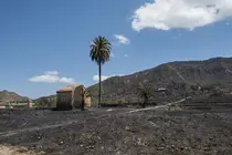 Zona calcinada en el incendio de Los Garres