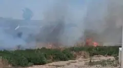 Extinguido un incendio de matorrales en Barriomar (Murcia)