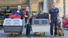 L&oacute;pez Miras moviliza gu&iacute;as caninos y arquitectos murcianos al contingente espa&ntilde;ol en Venezuela.