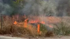 Incendio de matorral entre El Palmar y Sangonera la Verde (foto: La 7)