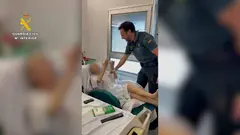 La Guardia Civil reanima a una mujer de 80 a&ntilde;os tras sufrir una parada cardiorrespiratoria
- GUARDIA CIVIL MURCIA
