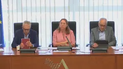 La Asamblea convalida el decreto de vivienda asequible y acuerda tramitarlo como Proyecto de Ley (foto: La 7)