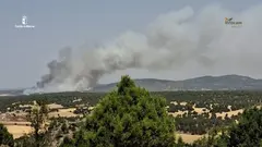 Incendio en la localidad guadalajare&ntilde;a de La Mierla (foto: Castilla_La Mancha)