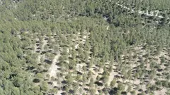 Sierra de Lavia, en el municipio de Ceheg&iacute;n