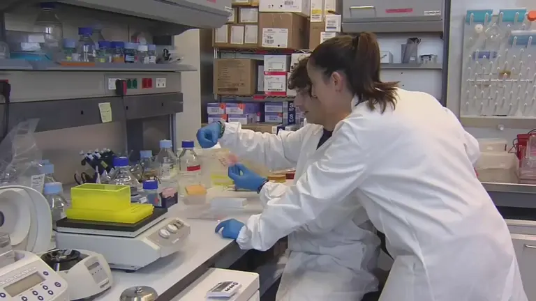 Laboratorio