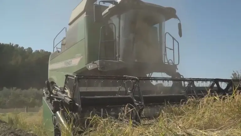 Agricultura (foto: La 7)