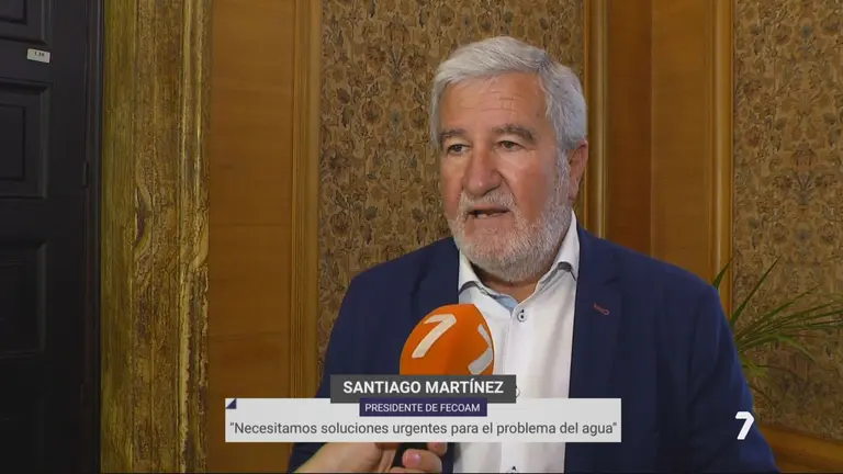 Santiago Mart&iacute;nez Gabald&oacute;n, presidente de Fecoam