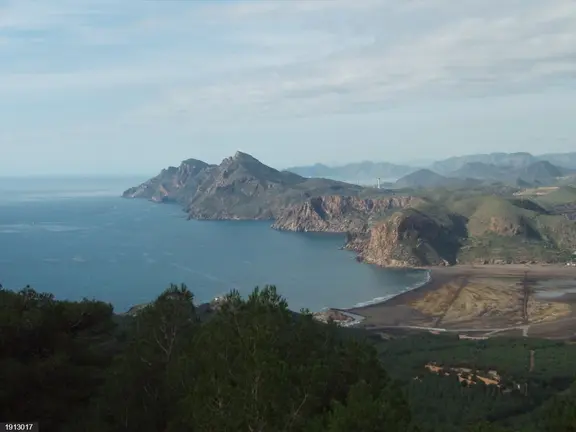 Bah&iacute;a de Portm&aacute;n (foto: EP)