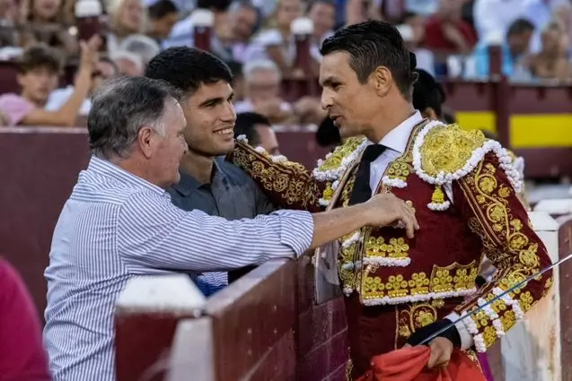 ALCARAZ TAURINO WEB