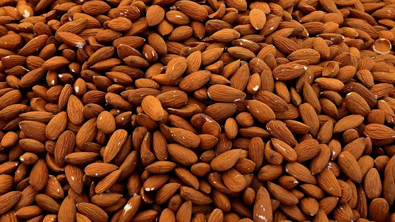 Los productores de frutos secos de la Regi&oacute;n de Murcia, al l&iacute;mite