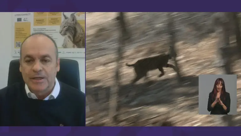 Faustino Mart&iacute;nez, subdirector general de Biodiversidad en la Consejer&iacute;a de Medio Ambiente de la Regi&oacute;n de Murcia (foto: La 7)