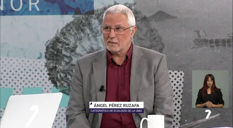 &Aacute;ngel P&eacute;rez Ruzafa, catedr&aacute;tico de Ecolog&iacute;a de la Universidad de Murcia (foto: La 7)