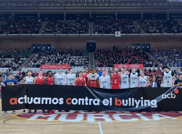 PARTIDO WEB