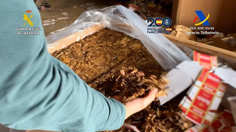 Desarticulada una organizaci&oacute;n criminal dedicada a la fabricaci&oacute;n clandestina de tabaco en Alicante