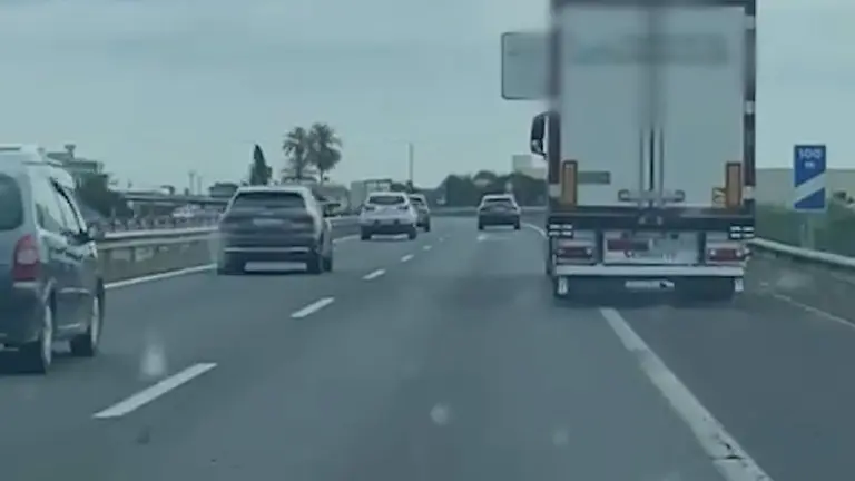 Imagen del cami&oacute;n invadiendo el arcen de la autov&iacute;a A-7 a la altura de Alhama de Murcia (foto: GC)