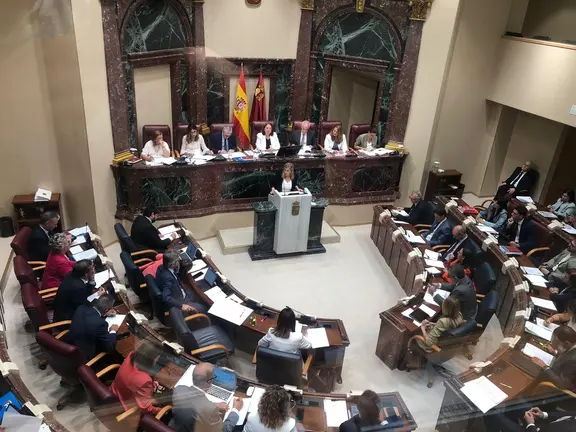 La portavoz del Grupo Parlamentario Socialista en la Asamblea, Carmina Fern&aacute;ndez, durante su intervenci&oacute;n en la segunda sesi&oacute;n del Debate del Estado de la Regi&oacute;n (foto: Agencias)