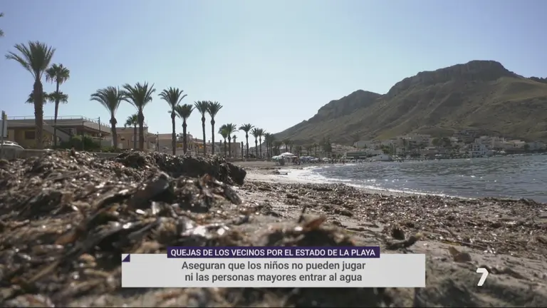 El mal estado de la playa de Calabardina (foto: La 7)