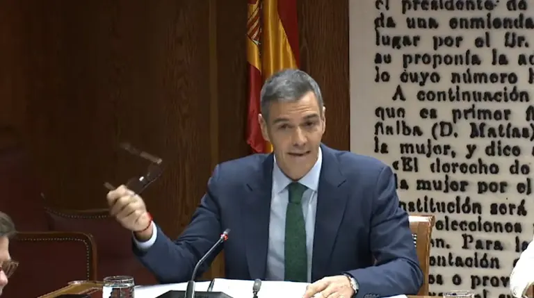 Pedro S&aacute;nchez en el Senado (foto: Senado)