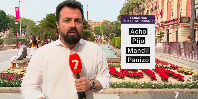 Diccionario de t&eacute;rminos murcianos
