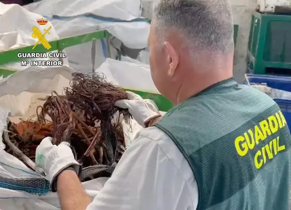 Detenidos los integrantes de una red que robaba cable de cobre en el Aeropuerto Internacional (foto: GC)