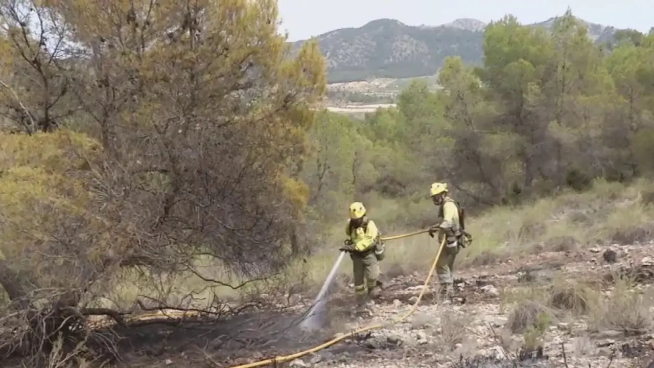 Bomberos trabajando en un incendio forestal