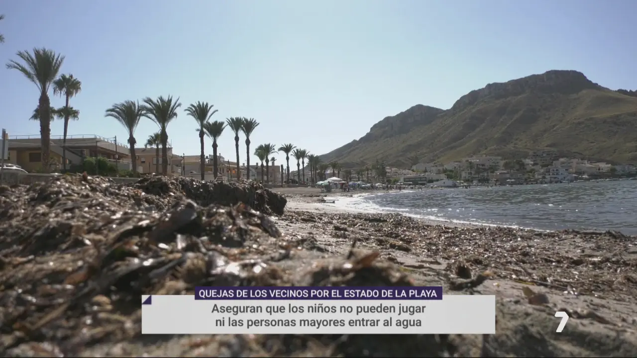 El mal estado de la playa de Calabardina (foto: La 7)